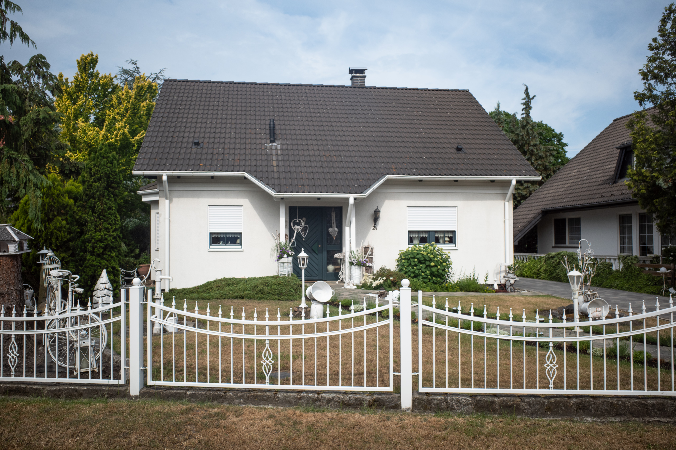 Märkische Alleen – Kiefern so weit das Auge reicht